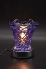 AM-02 Assort 12pc - Image 5